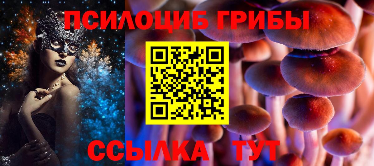 Галлюциногенные грибы мухоморы  Вход с VPN  Кингисепп 