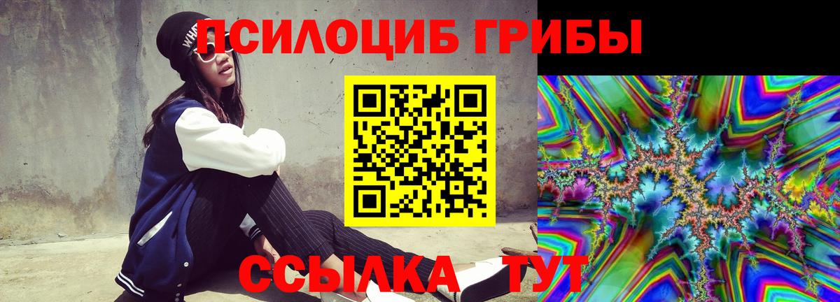 Галлюциногенные грибы MAGIC MUSHROOMS Кингисепп